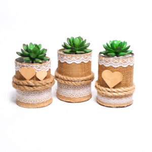 Artificial Cactus in Hessian Tin