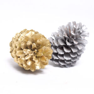 Pine Cones Big Gold or Silver