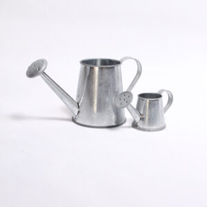 Rustic Silver Water Jug Decor Medium